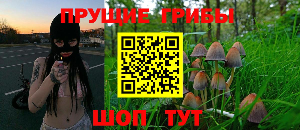 Псилоцибиновые грибы Psilocybine cubensis  Галлюциногенные грибы Psilocybe  Вход с VPN  Краснокаменск 